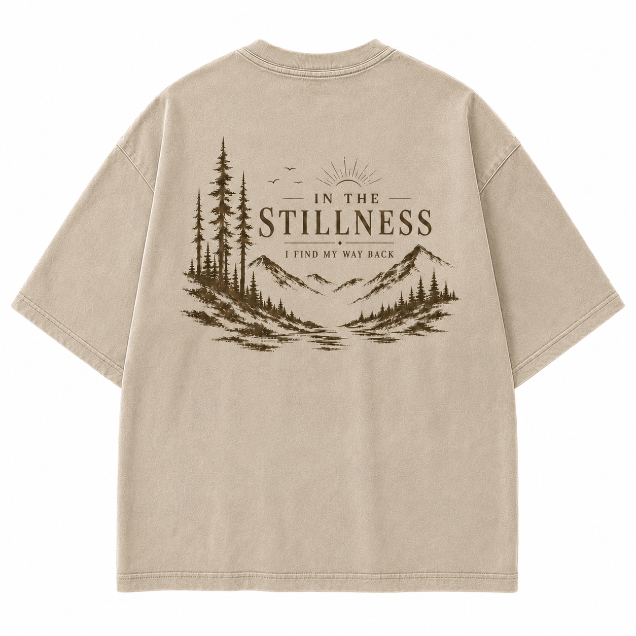 In the Stillness Mountain Washed T-Shirt