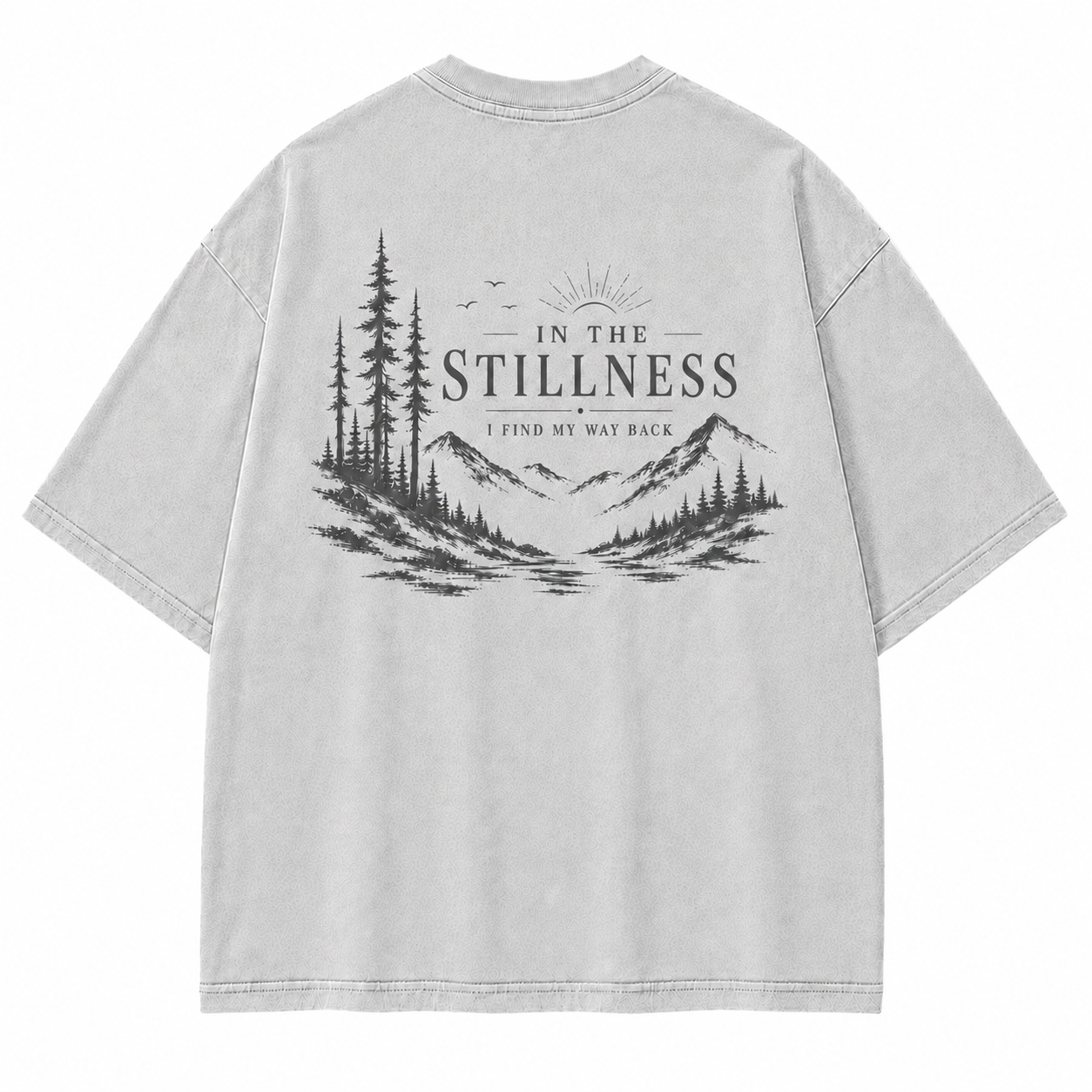 In the Stillness Mountain Washed T-Shirt