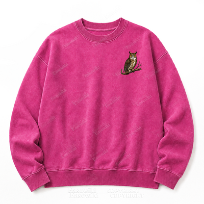 Modern Dinosaurs Vintage Birds Washed Graphic Sweatshirt