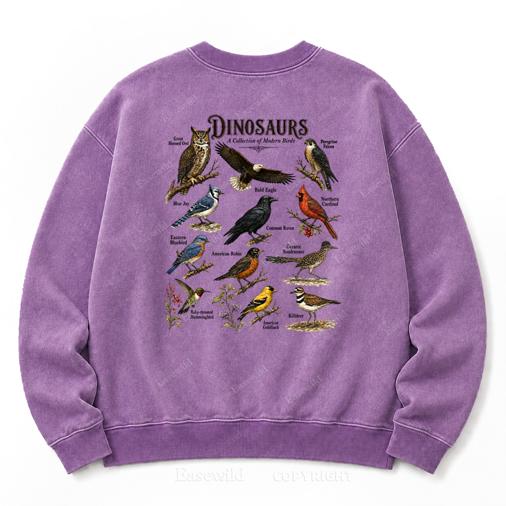 Modern Dinosaurs Vintage Birds Washed Graphic Sweatshirt