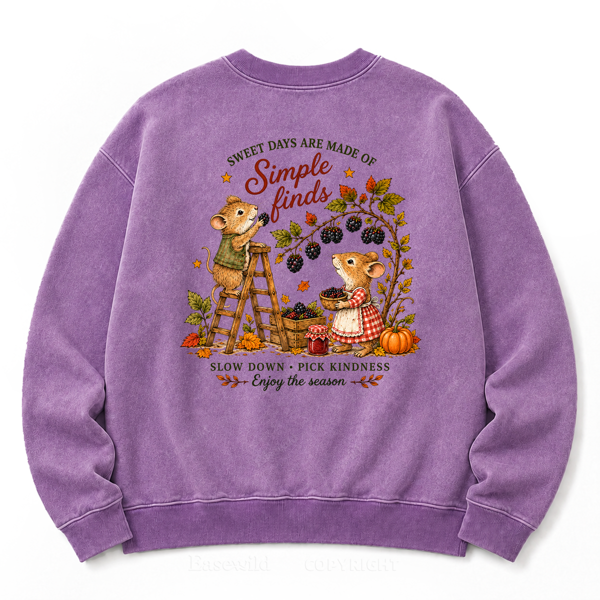 Simple Autumn Joys Washed Sweatshirts