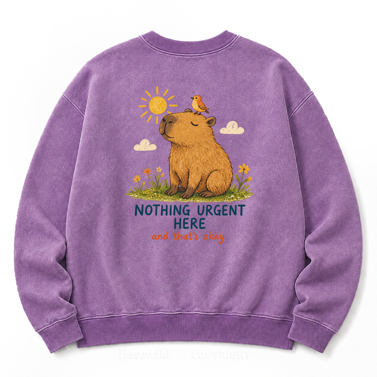 Nothing Urgent Here – Cozy Capybara Washed Sweatshirts
