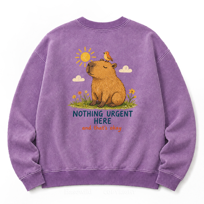 Nothing Urgent Here – Cozy Capybara Washed Sweatshirts