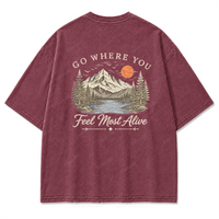 Washed Burgundy