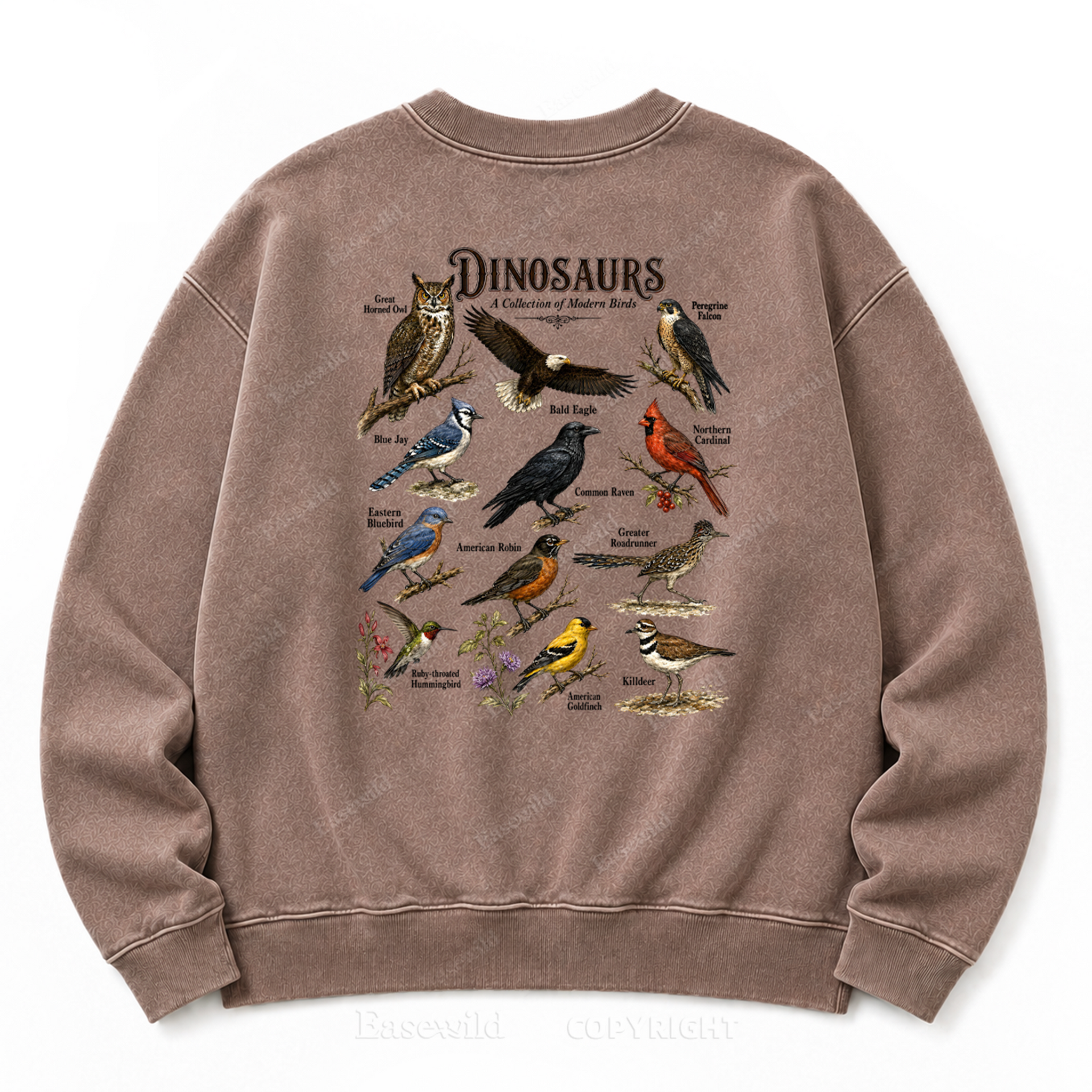 Modern Dinosaurs Vintage Birds Washed Graphic Sweatshirt