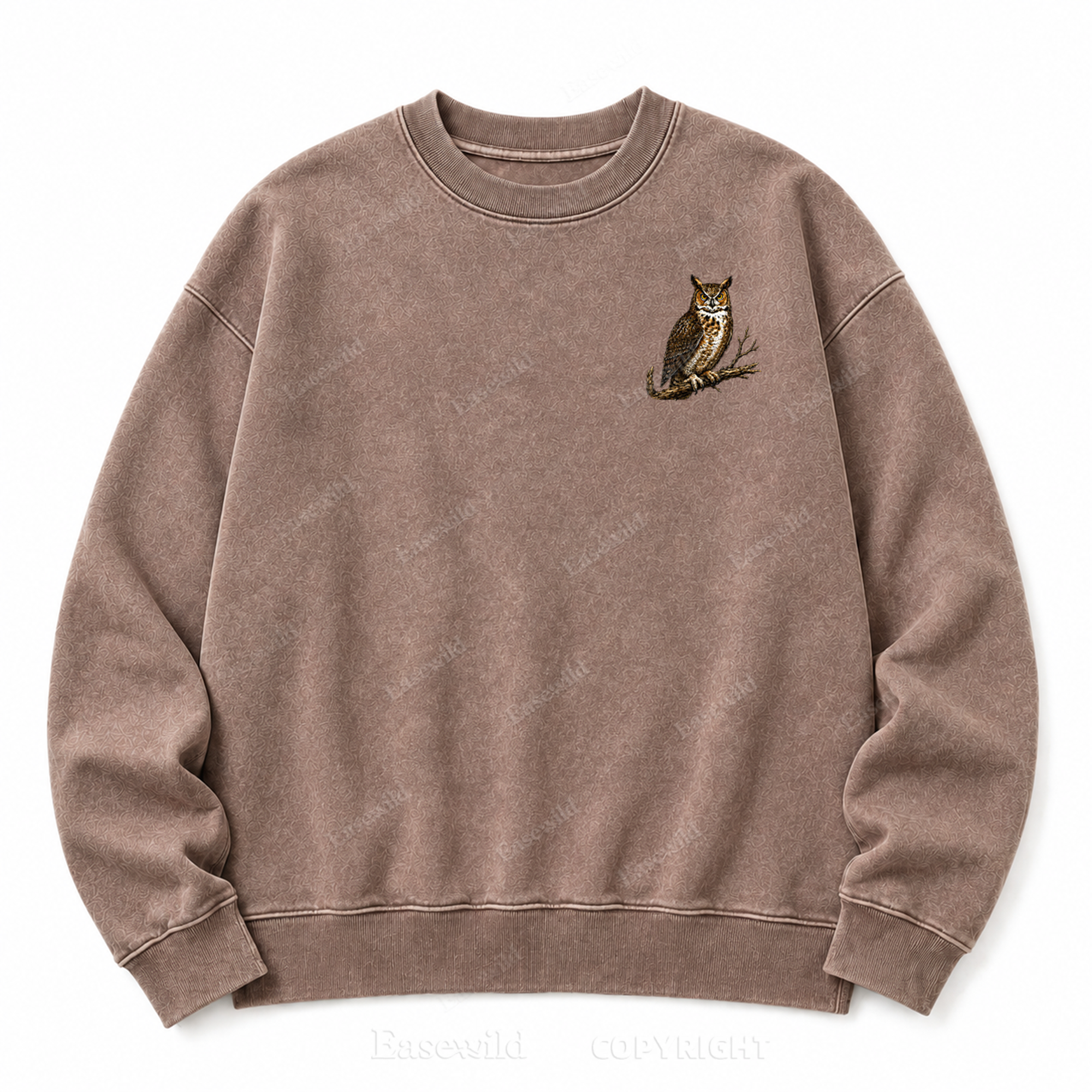 Modern Dinosaurs Vintage Birds Washed Graphic Sweatshirt