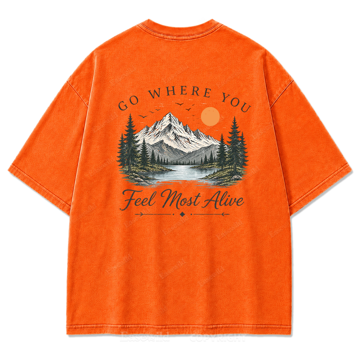 Go Where You Feel Most Alive Lake Washed Print Tee