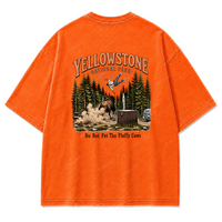 Washed Orange