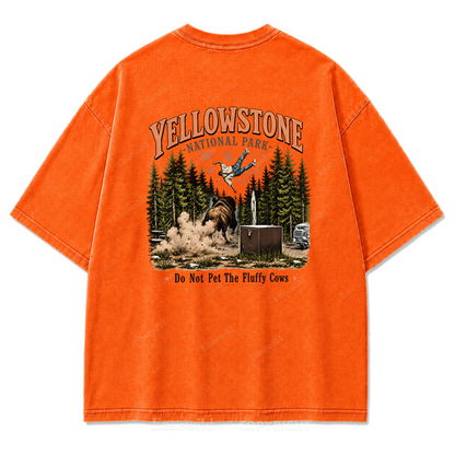 Yellowstone National Park Fluffy Cows Graphic Washed T-Shirt