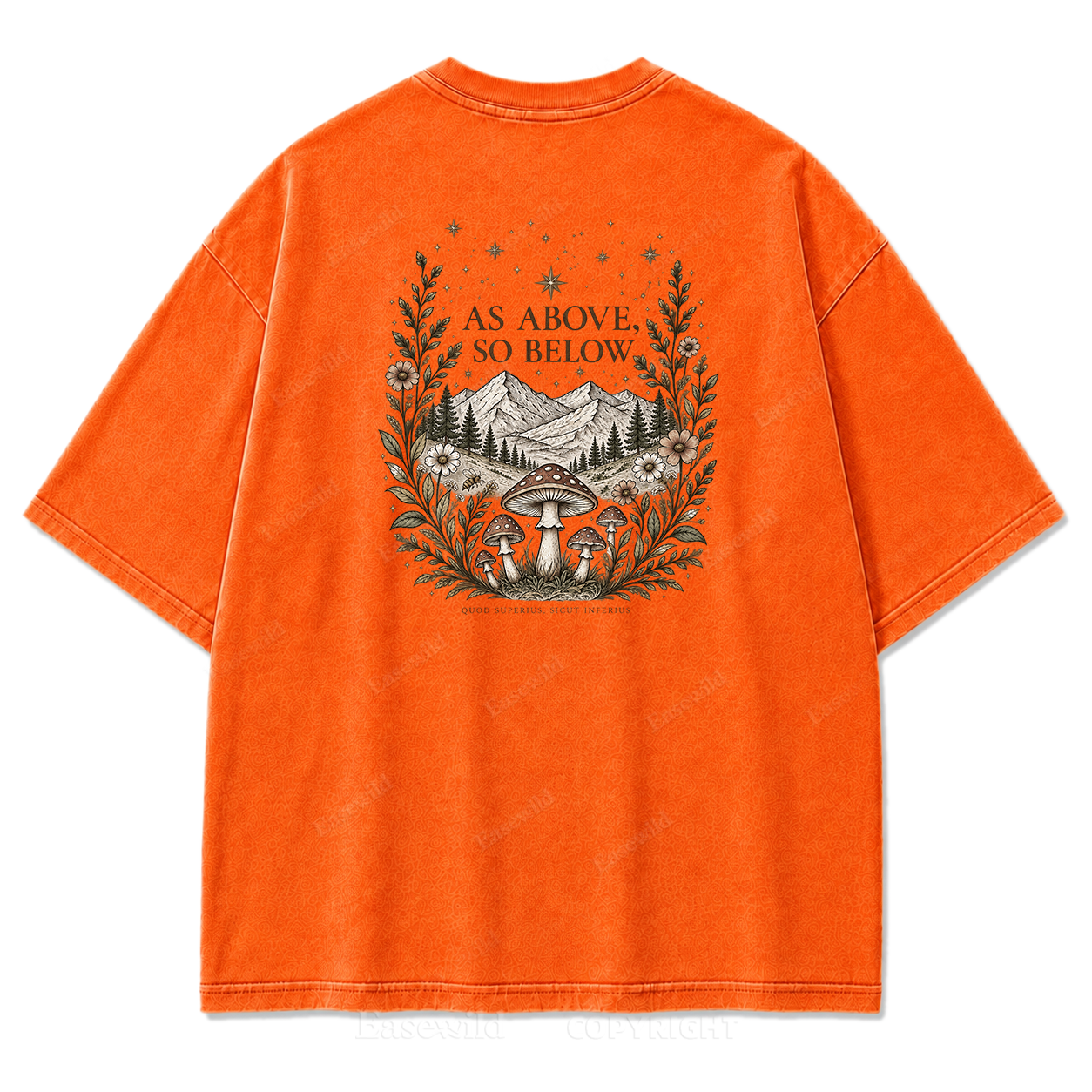 As Above So Below Nature Vintage Graphic Print Tee