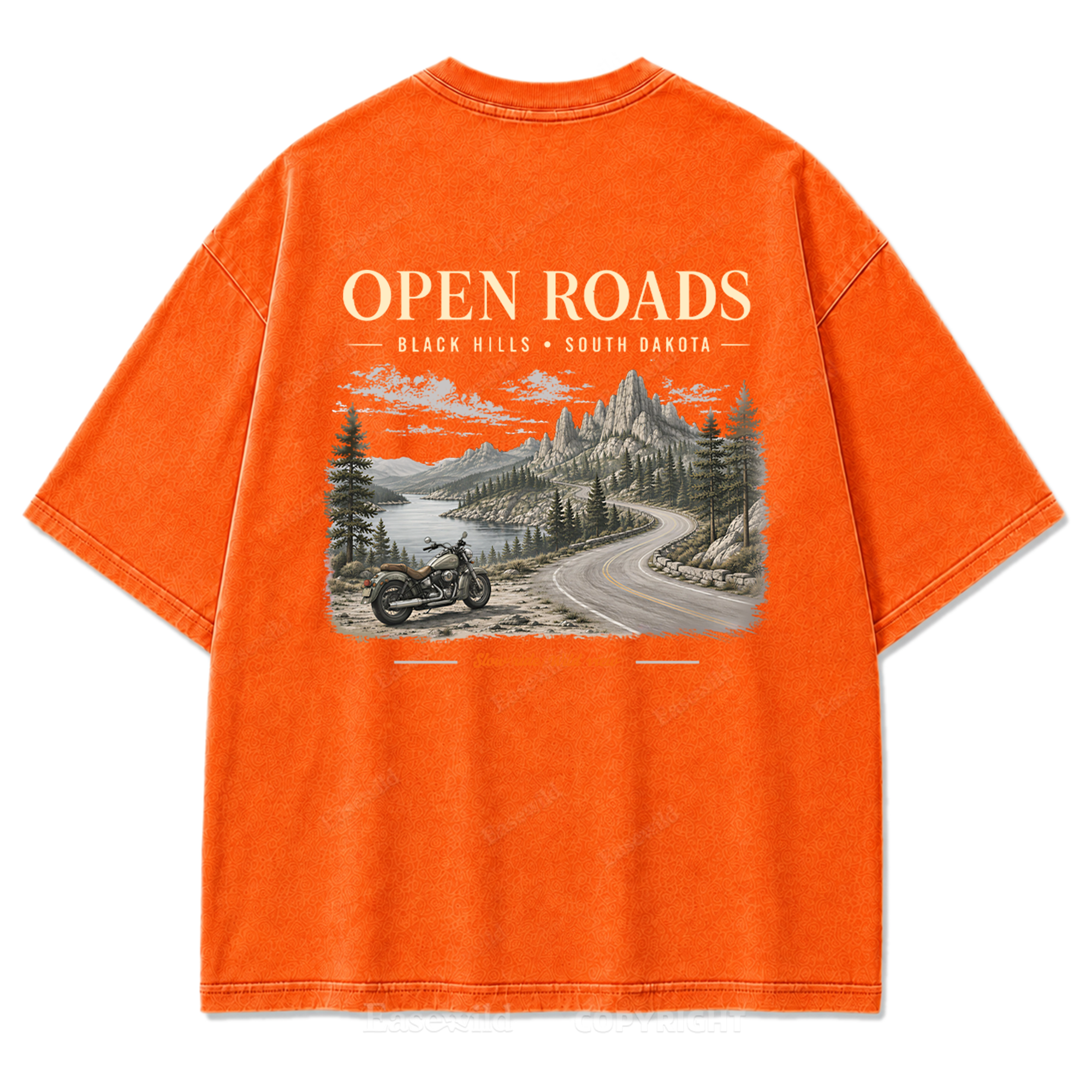 Open Roads Black Hills Washed Print Tee