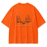 Washed Orange