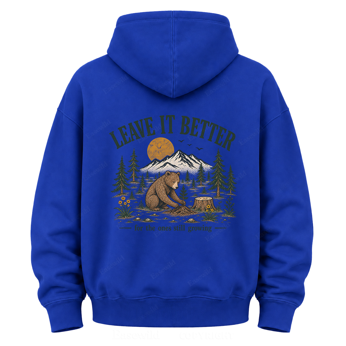 Leave It Better – Vintage Bear & Mountain Graphic Hoodie