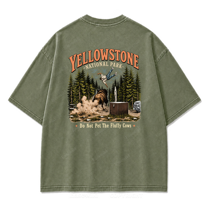 Yellowstone National Park Fluffy Cows Graphic Washed T-Shirt