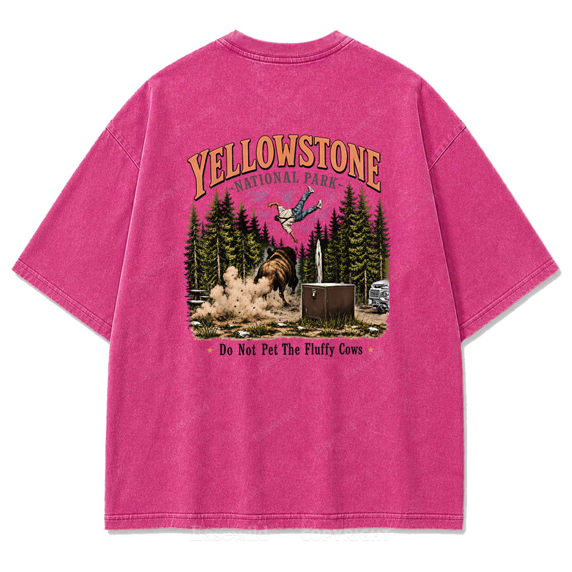 Yellowstone National Park Fluffy Cows Graphic Washed T-Shirt