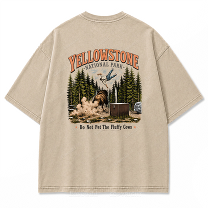 Yellowstone National Park Fluffy Cows Graphic Washed T-Shirt