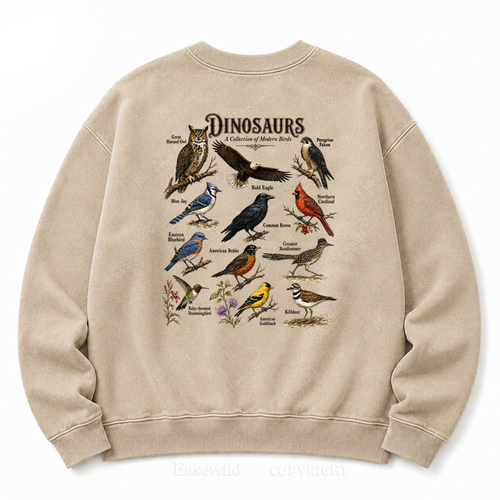 Modern Dinosaurs Vintage Birds Washed Graphic Sweatshirt