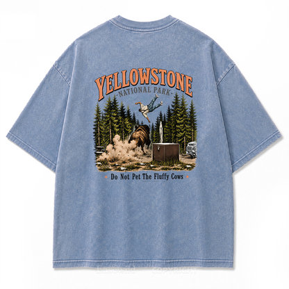 Yellowstone National Park Fluffy Cows Graphic Washed T-Shirt