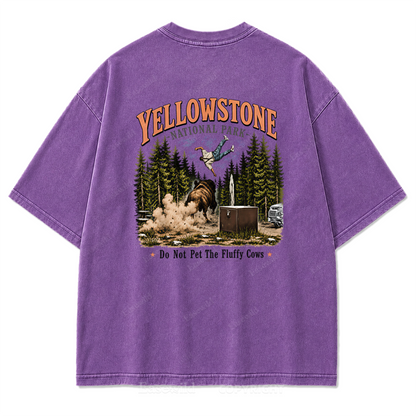 Yellowstone National Park Fluffy Cows Graphic Washed T-Shirt