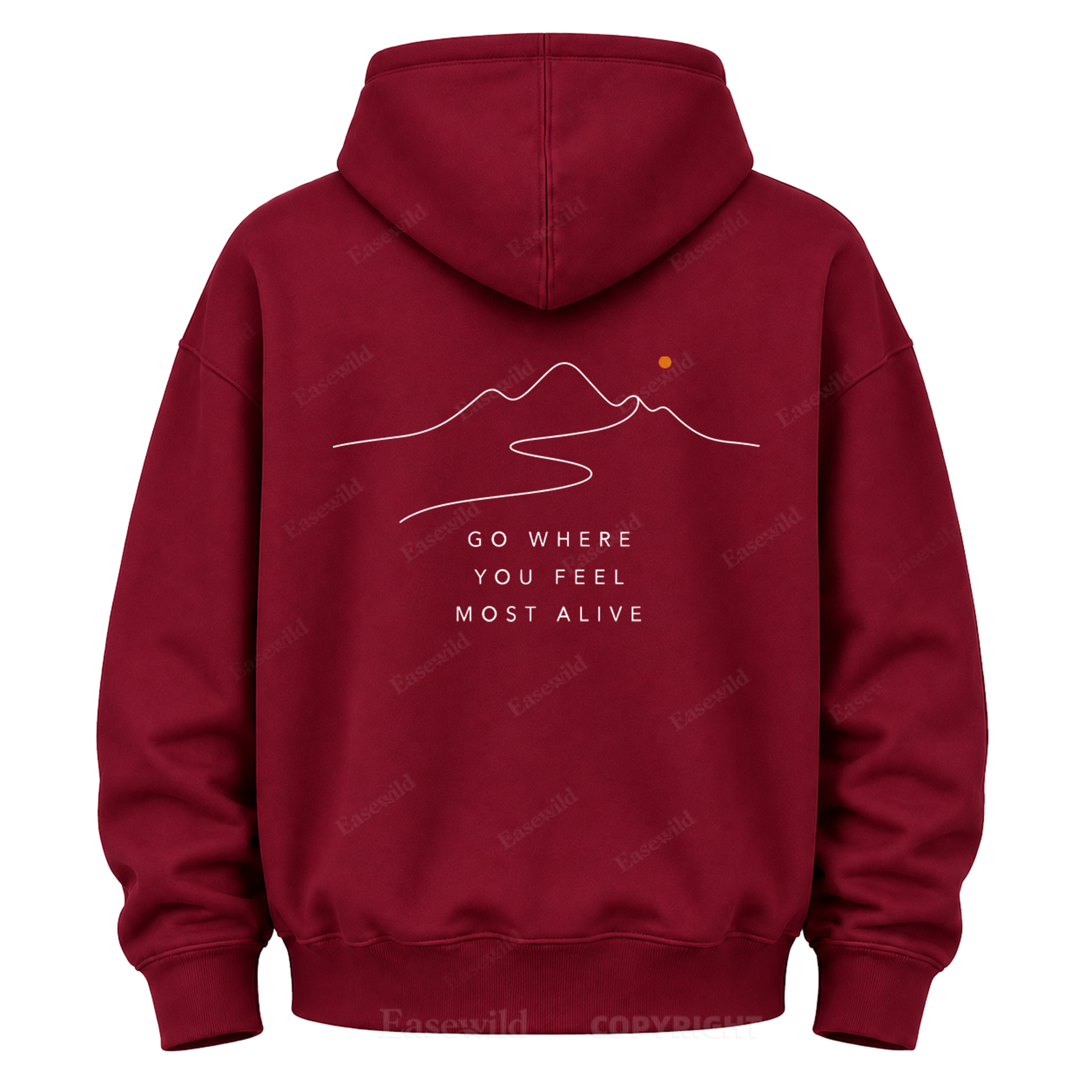 Go Where You Feel Fully Alive Graphic Hoodie
