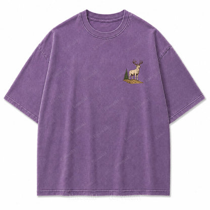 Go Find Your Peak Washed Print Tee