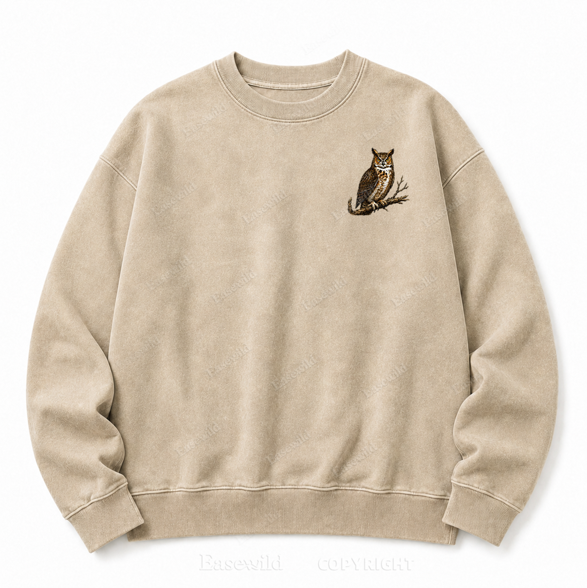 Modern Dinosaurs Vintage Birds Washed Graphic Sweatshirt