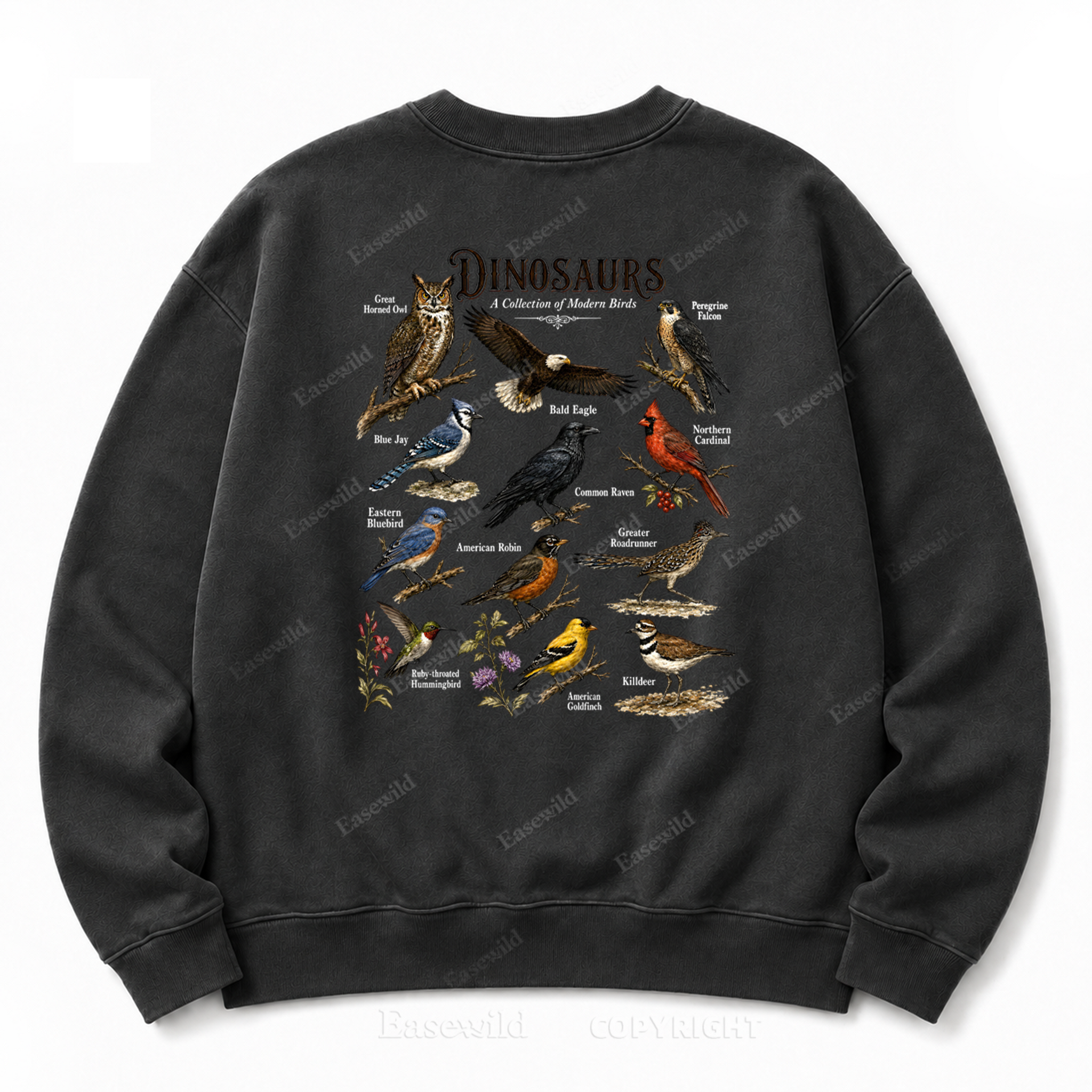 Modern Dinosaurs Vintage Birds Washed Graphic Sweatshirt