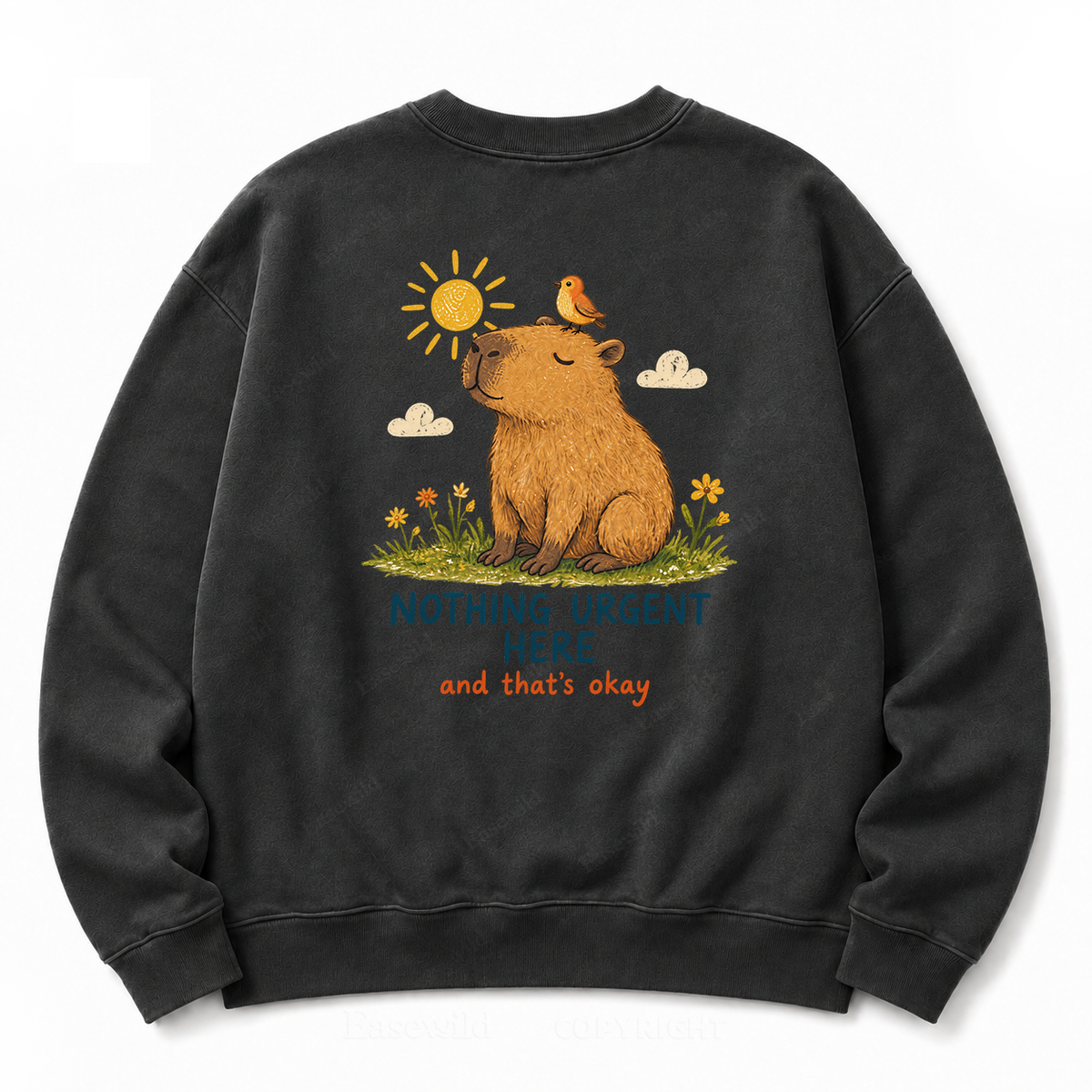 Nothing Urgent Here – Cozy Capybara Washed Sweatshirts