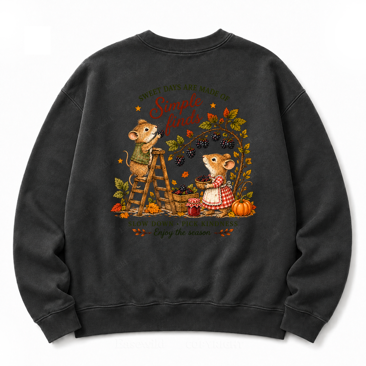 Simple Autumn Joys Washed Sweatshirts