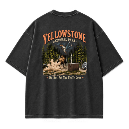 Yellowstone National Park Fluffy Cows Graphic Washed T-Shirt