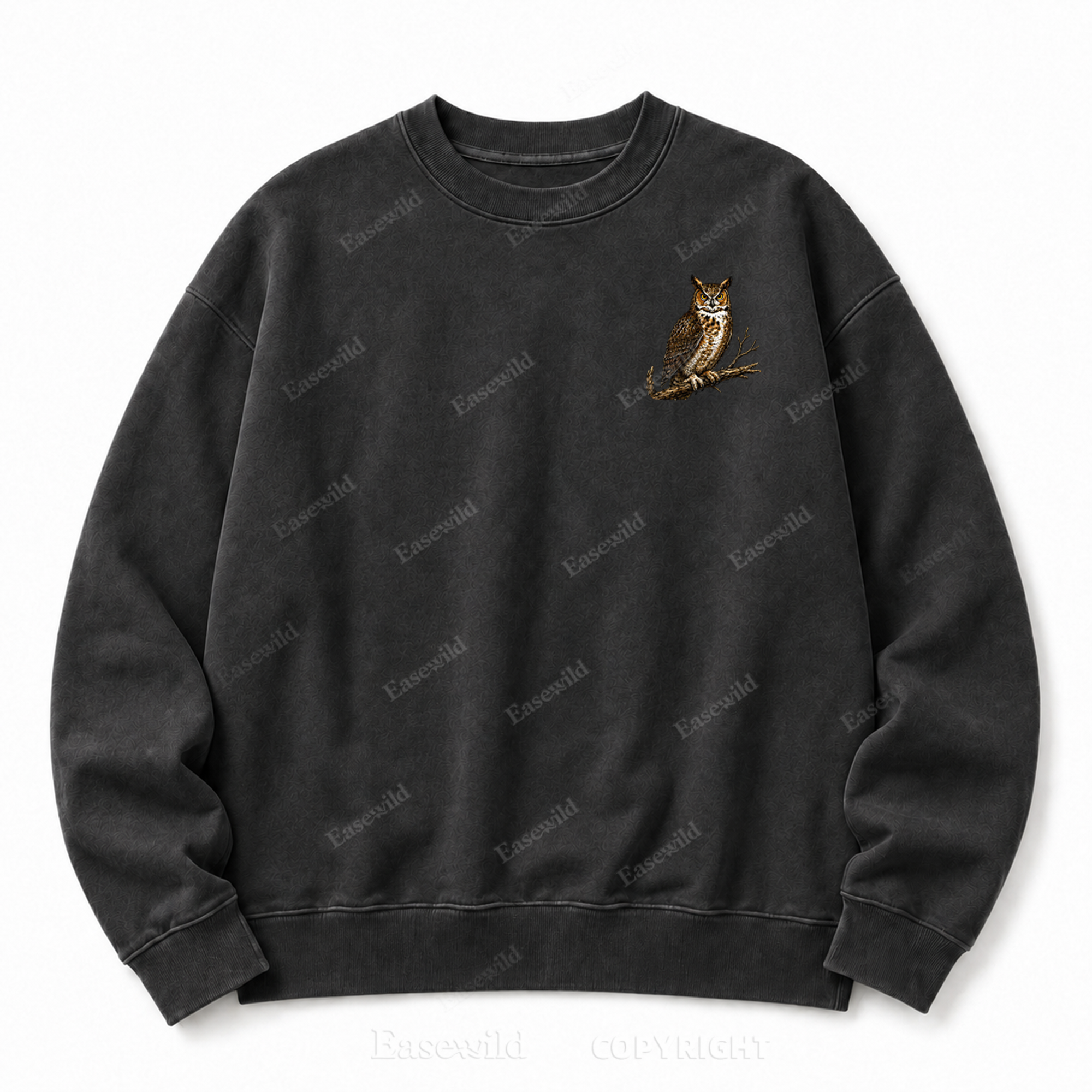 Modern Dinosaurs Vintage Birds Washed Graphic Sweatshirt