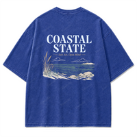Washed Royal Blue