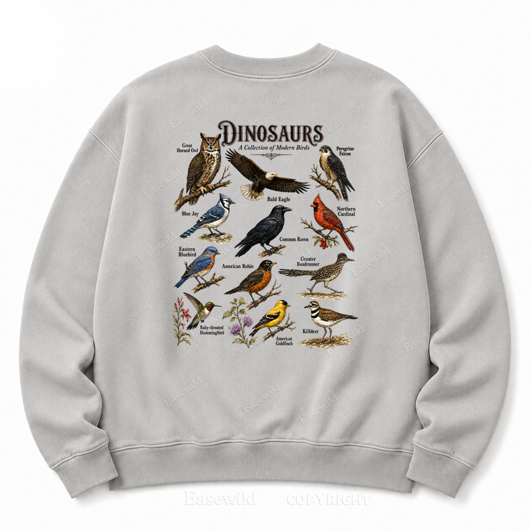 Modern Dinosaurs Vintage Birds Washed Graphic Sweatshirt