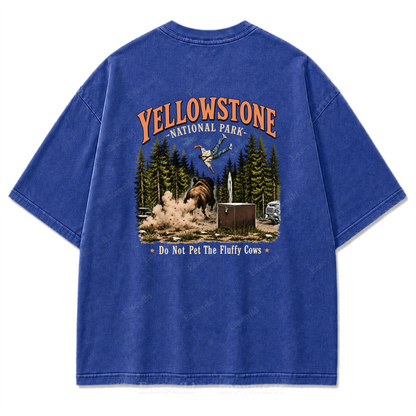 Yellowstone National Park Fluffy Cows Graphic Washed T-Shirt