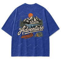 Washed Royal Blue
