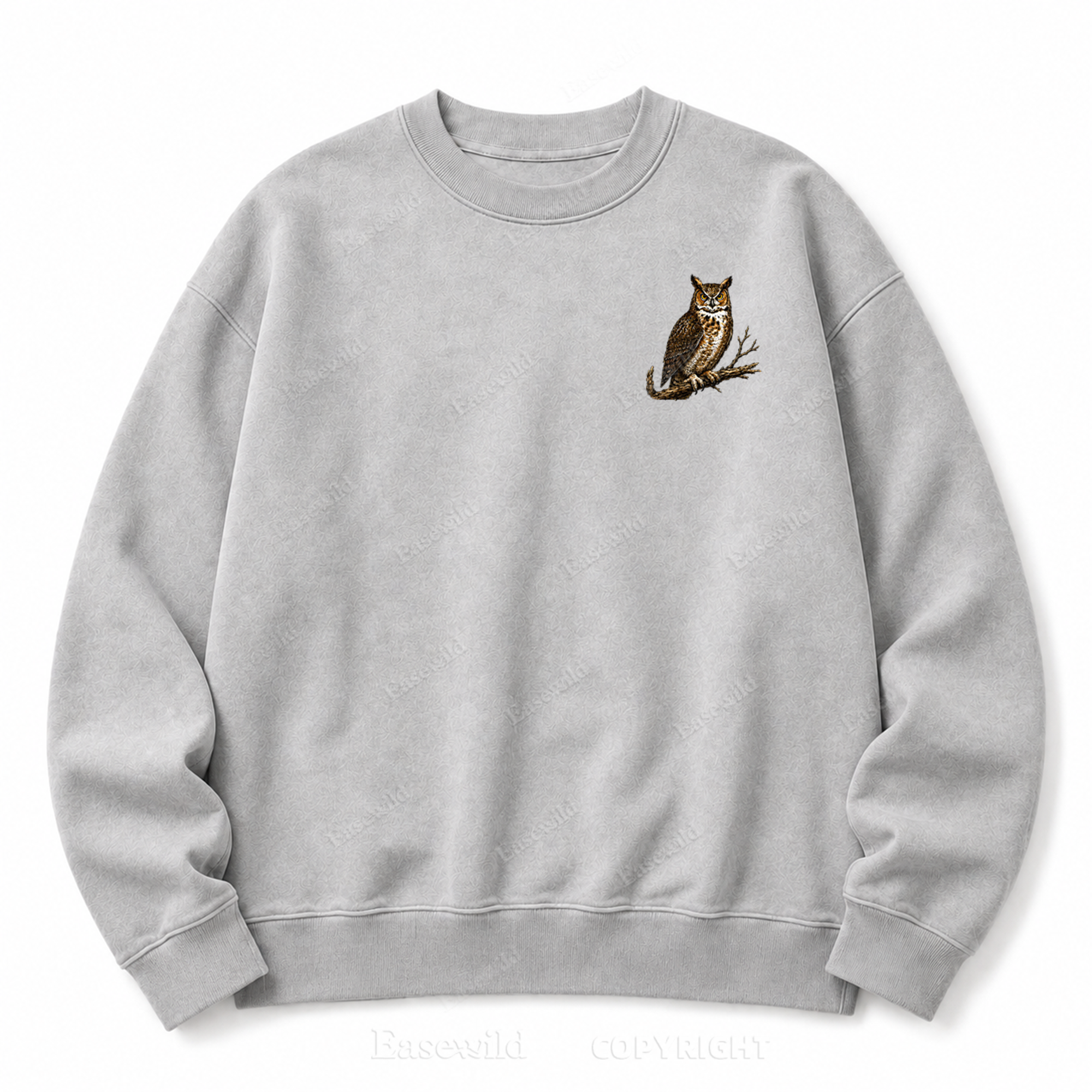 Modern Dinosaurs Vintage Birds Washed Graphic Sweatshirt