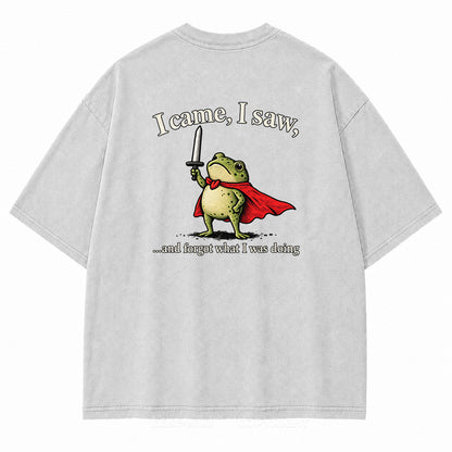 Funny Hero Frog "I Came, I Saw" Washed Graphic T-Shirt