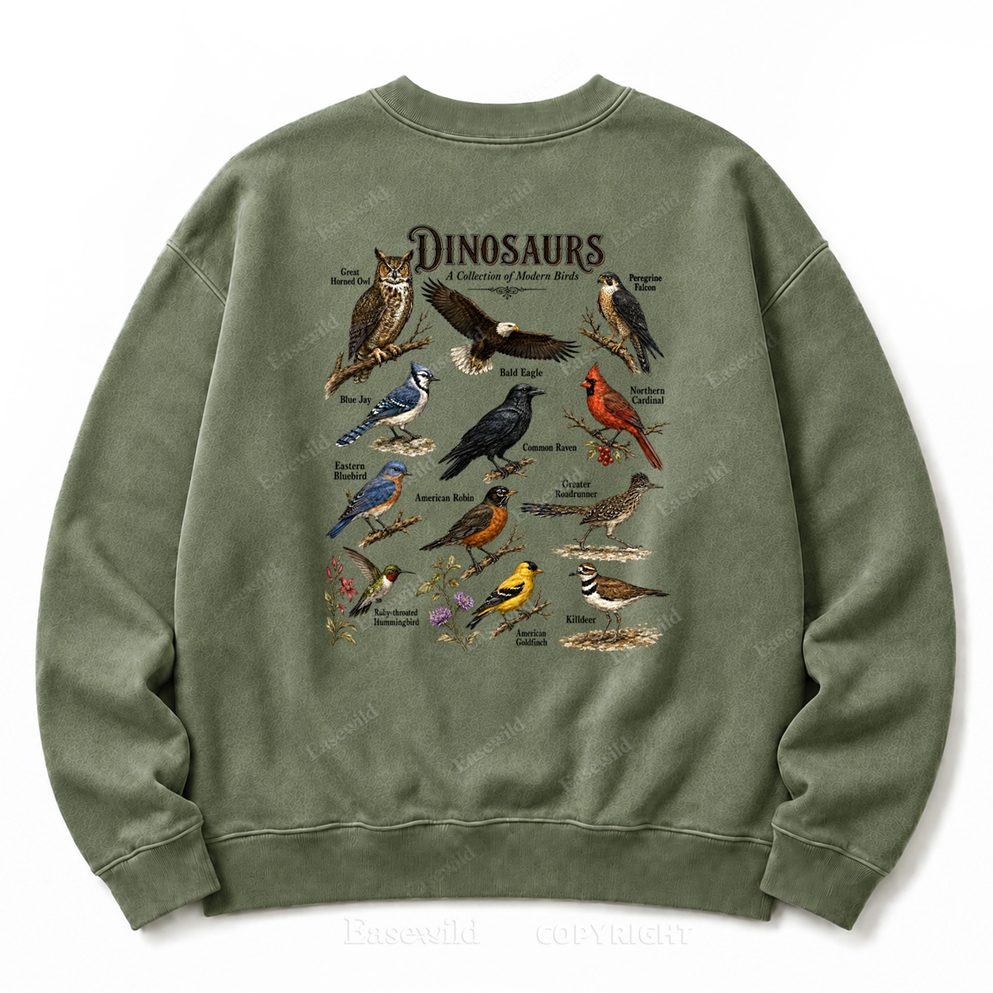 Modern Dinosaurs Vintage Birds Washed Graphic Sweatshirt