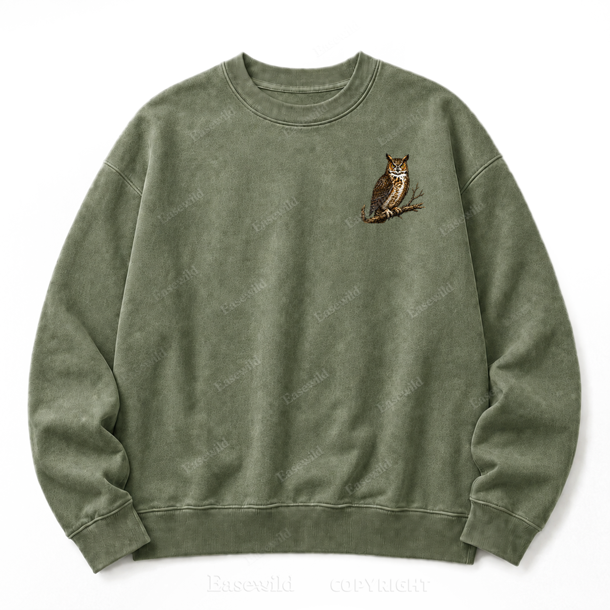 Modern Dinosaurs Vintage Birds Washed Graphic Sweatshirt