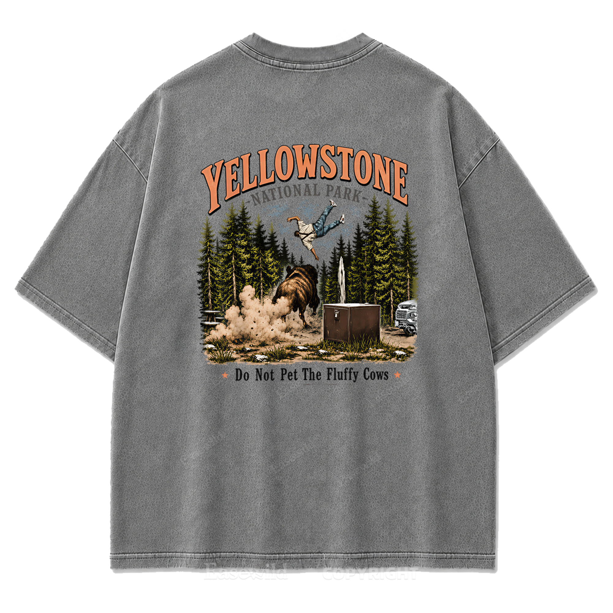 Yellowstone National Park Fluffy Cows Graphic Washed T-Shirt