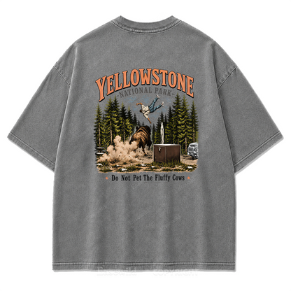 Yellowstone National Park Fluffy Cows Graphic Washed T-Shirt