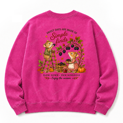 Simple Autumn Joys Washed Sweatshirts